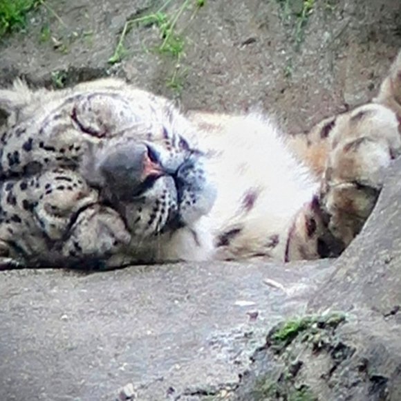 Meet your Posher, Sarah - Picture 7 of 9